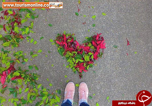 عکس/ چالش نقاشی با برگ&zwnj;های پاییزی در ژاپن