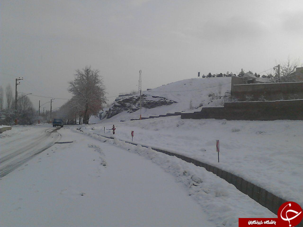 بارش زیبای برف در خوی + تصاویر
