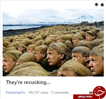 سیس