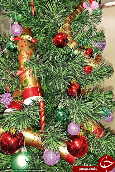 هدیه کشنده در درخت کریسمس +تصاویر