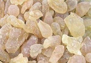 از این گیاه معجزه آسا غافل نشوید