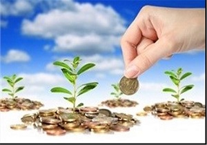 پایان آذر آخرین فرصت برای بیمه محصولات کشاورزی