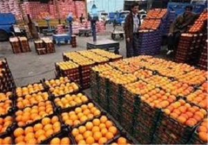 راه‌اندازی پایانه صادراتی محصولات کشاورزی در گرمی