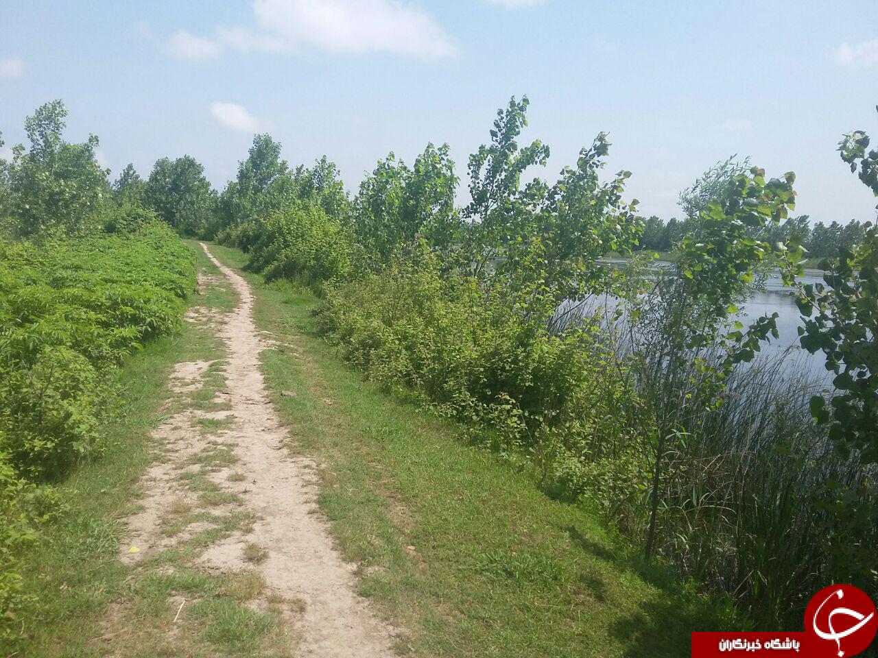 تصاویری زیبا از دریاچه روستای دشمنکرده