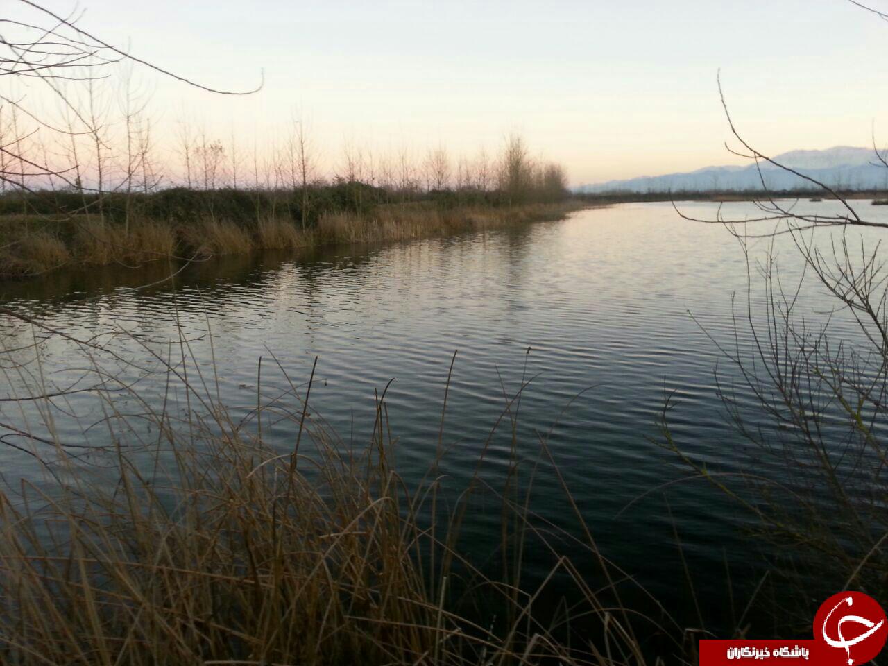 تصاویری زیبا از دریاچه روستای دشمنکرده