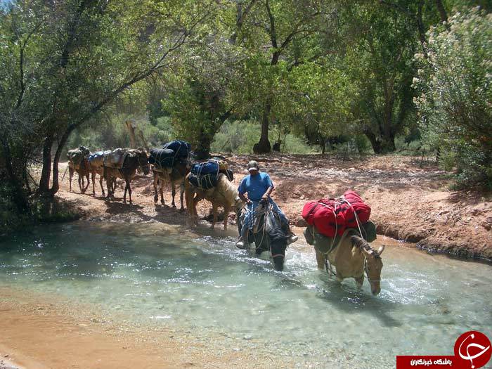 تصاویری ناب از آبشار هاواسو