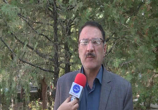 تغییر الگوی کشت راهکاری برای جبران خشکسالی