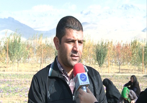 تغییر الگوی کشت راهکاری برای جبران خشکسالی