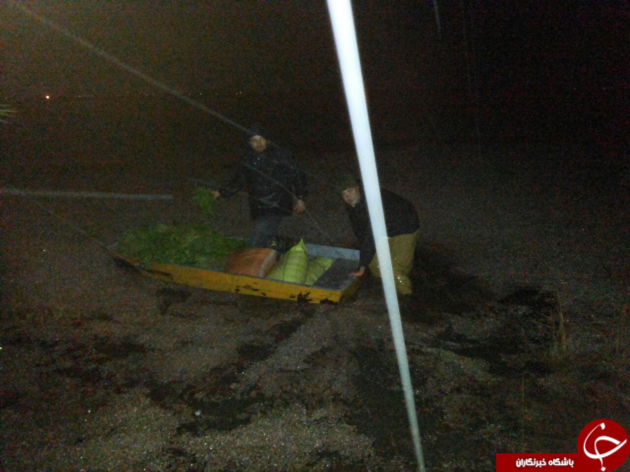 اهداء گندم توسط حامیان حیات وحش برای قوهای سرخرود