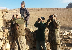 آغاز سرشماری وحوش در استان سمنان