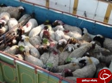 مهمترین حوادث سه شنبه 2 آذر در گلستان