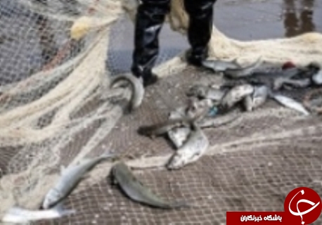 مهمترین حوادث سه شنبه 2 آذر در گلستان