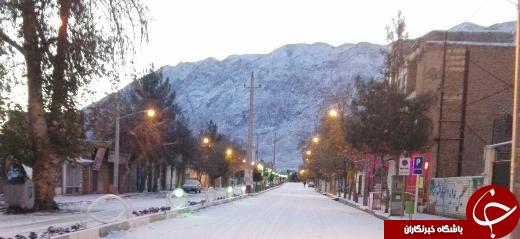 بارش برف پاییزی در میامی+ تصاویر