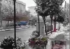 بارش برف و سفید&zwnj;پوش شدن جویبار + فیلم