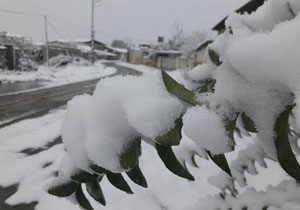 ثبت دمای 10 درجه زیر صفر در مازندران