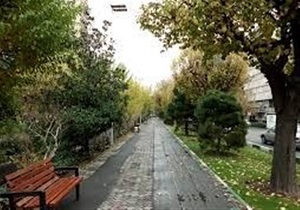 احتمال «کن فیکون شدن» بلوار کشاورز/ موش ها متهم اصلی!