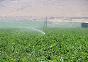 بهره برداری از آبیاری تحت فشار