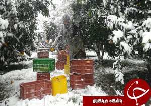 نگاهی گذرا به مهمترین رویدادهای 3 آذر در مازندران