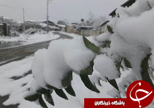 نگاهی گذرا به مهمترین رویدادهای 3 آذر در مازندران
