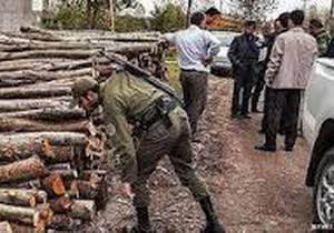 کشف یک محموله 800 کيلوگرمی چوب بلوط قاچاق در پژو 405