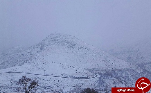 بارش برف و کولاک در دو محور استان
