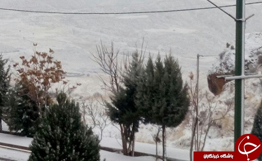 بارش برف و کولاک در دو محور استان