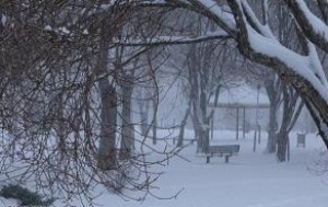 آذربایجان غربی برفی است