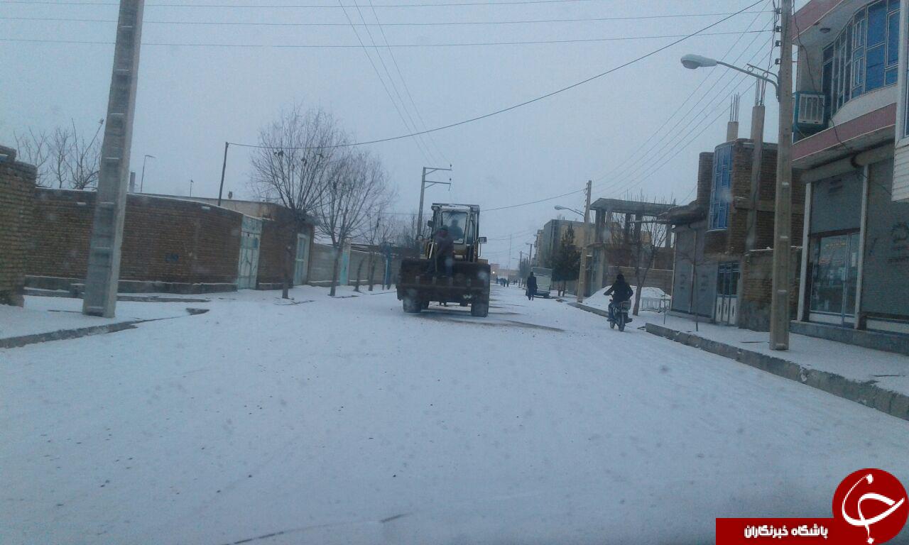 بارش زیبای برف در شهر چهاربرج + تصاویر