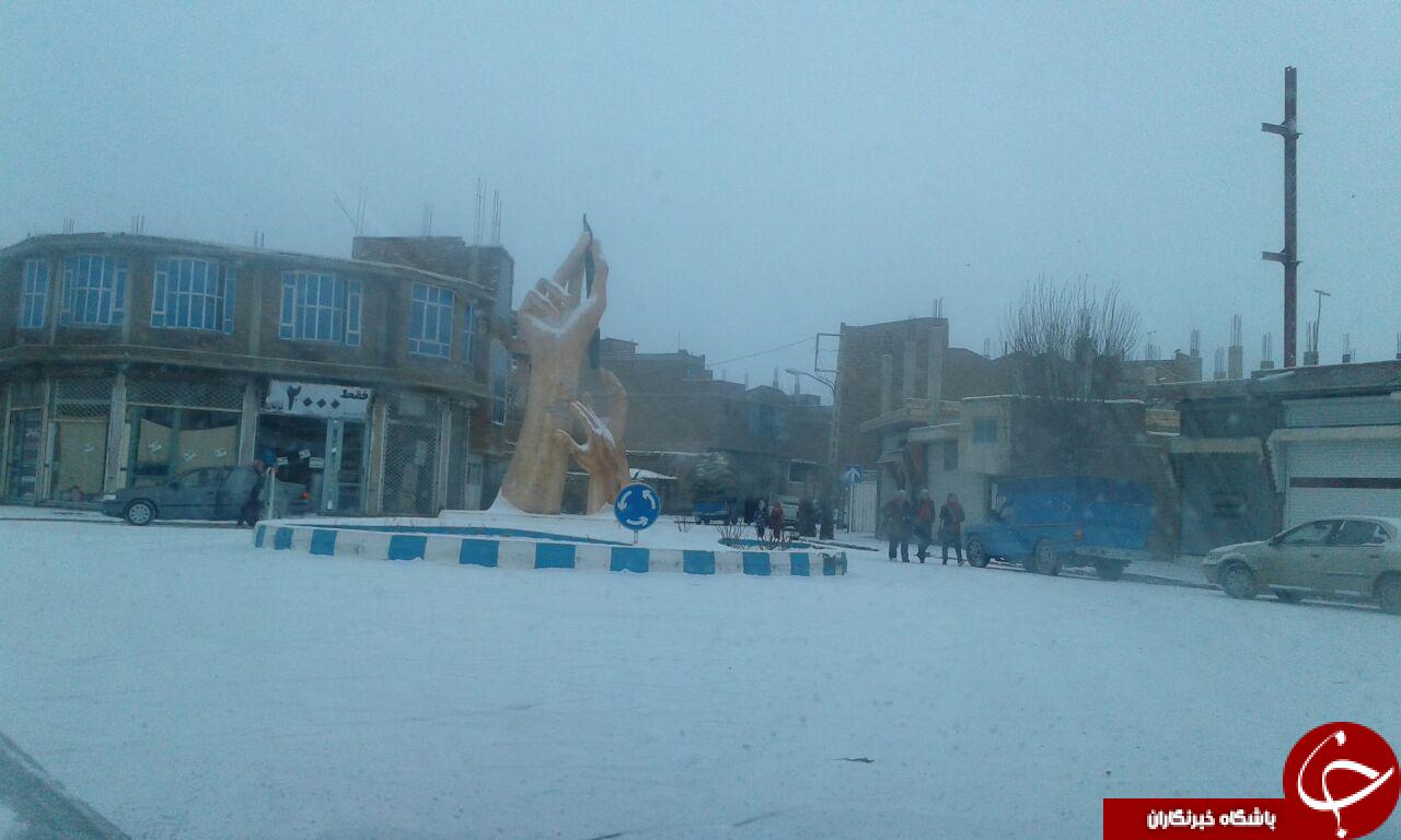 بارش زیبای برف در شهر چهاربرج + تصاویر
