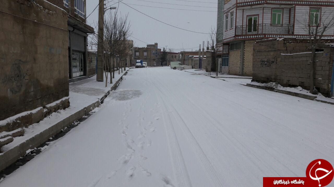 بارش زیبای برف در شهر چهاربرج + تصاویر
