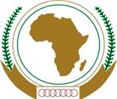 خروج هشت کشور عربی از اجلاس سران عرب - آفریقا