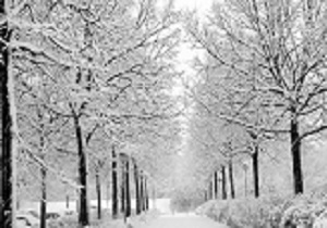 نکات ایمنی در هوای سرد