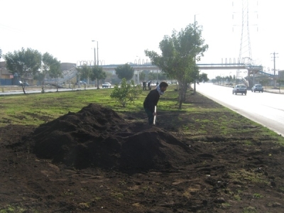 مراتع زنجان کود پاشی شد