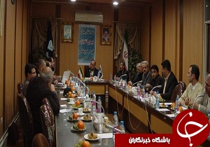 در حال حاضر خبری از آنفلوانزای فوق حاد پرندگان نیست