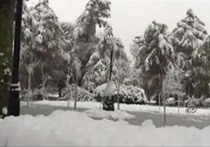 بارش برف در استان&zwnj;های مختلف کشور + فیلم