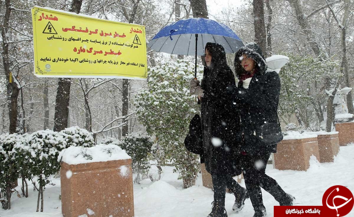 برف بازی تهرانی&zwnj;ها در پارک قیطریه+تصاویر