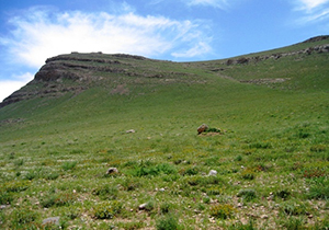 یکپارچه سازی عرصه های منابع طبیعی فارس