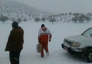خدمات‌ رسانی به 17 خانواده عشایر گرفتار در برف