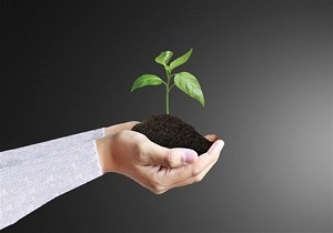 پیش‌نیاز گوهر راستگویی