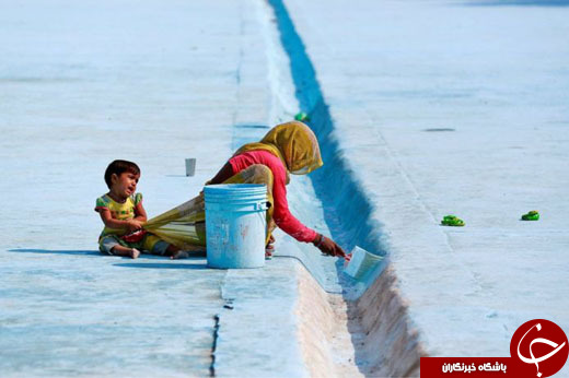 از راهپیمایی گسترده شیعیان به سمت کربلا تا قهرمانی 