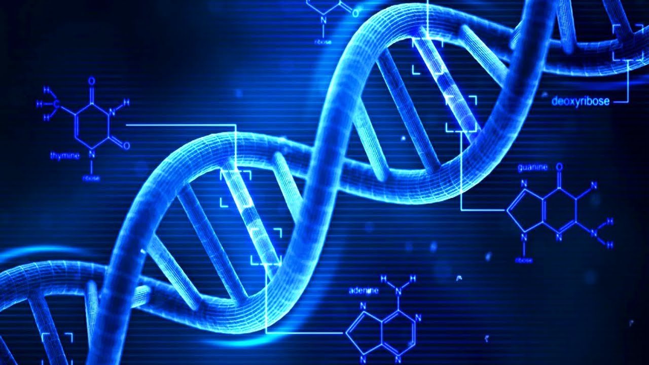 شناسایی یک جسد مجهول الهویه/ آزمایش DNA چگونه و به چه دلایلی انجام می شود؟
