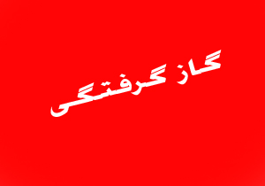 قاتل خاموش این بار از قم قربانی گرفت
