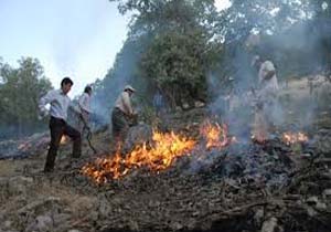 11 منطقه بحرانی آتش سوزی در استان شناسایی شد