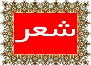 شاعران جوان با شتابزدگی از کارهای جدی دور می&zwnj;شوند