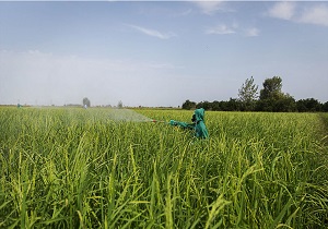 برگزاری رزمایش پدافندزیستی در دامشهرقم