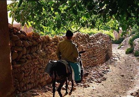 10درصد روستاهای ایران در کرمان است