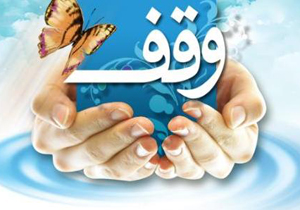 عضو کمیسیون اجتماعی مجلس:وقف موجبات جذب خیرین برای کمک به نیازمندان را ایجاد می‌کند