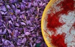 زعفران را در گاو صندوق نگه داری کنید