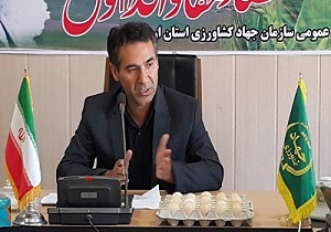 توزیع ۱۸۰ تن شکر بین زنبورداران در استان اردبیل