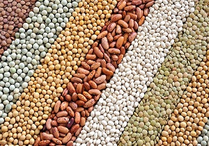 این ابرمواد غذایی را در دوران بارداری مصرف کنید